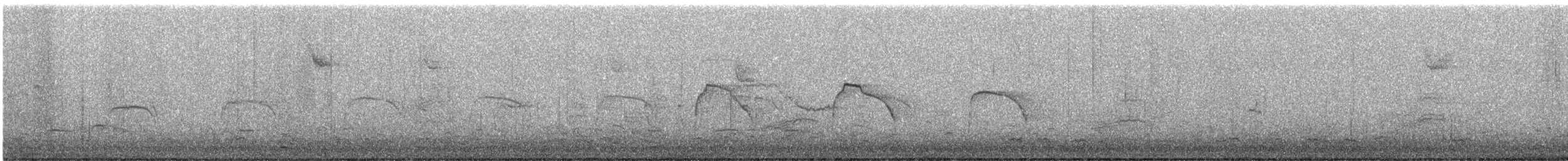 Northern Harrier - ML646499963