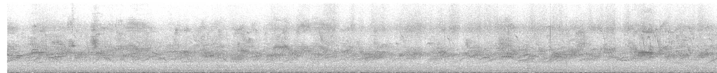 Indian Pied Starling - ML646500232