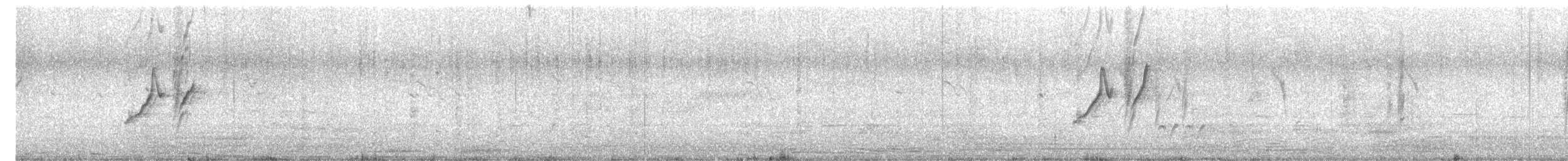 オオハクセキレイ - ML646500237