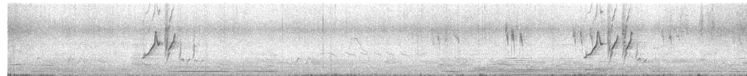 オオハクセキレイ - ML646500292