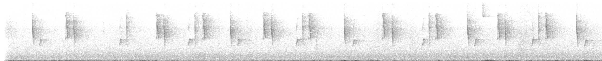 kolibřík zelený - ML646500293