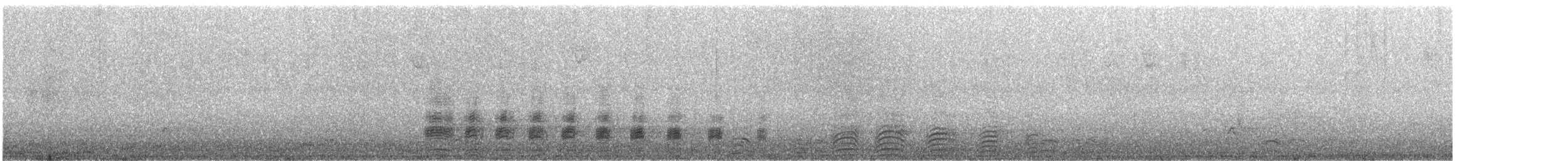 kachna divoká - ML646500595