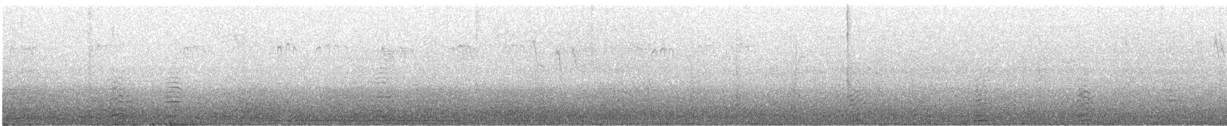 labuť trubač - ML646500600