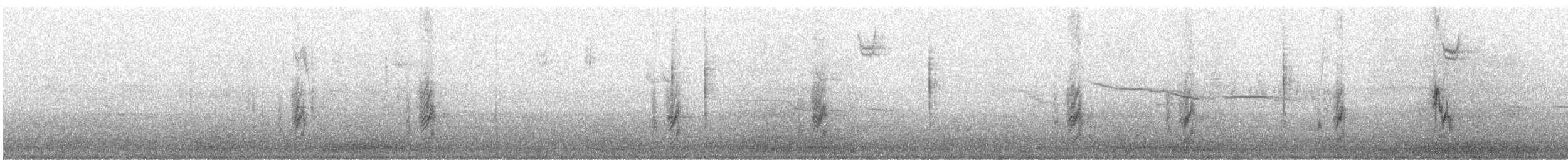 vrabec domácí - ML646500614