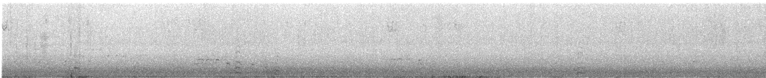 orel bělohlavý - ML646500624