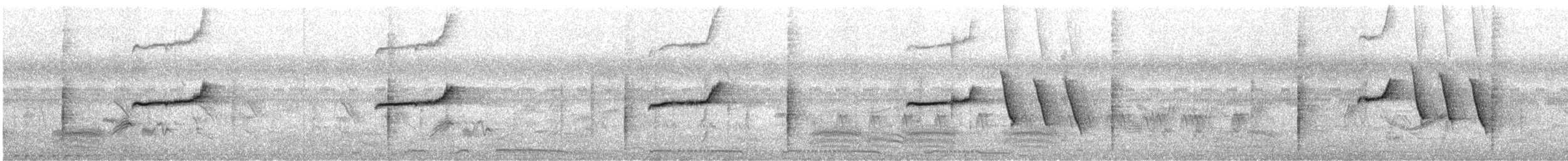 Oriental Magpie-Robin - ML646501092