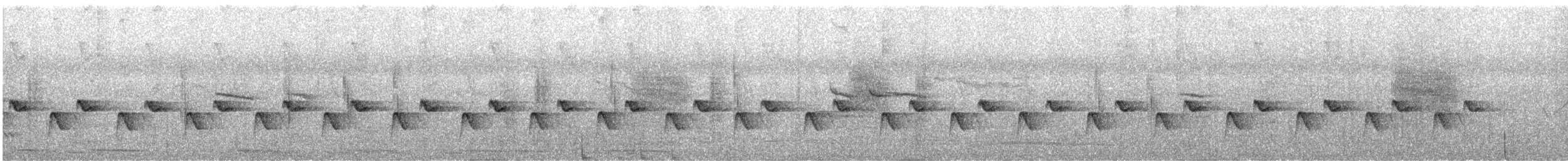 bulbul bělouchý - ML646501103