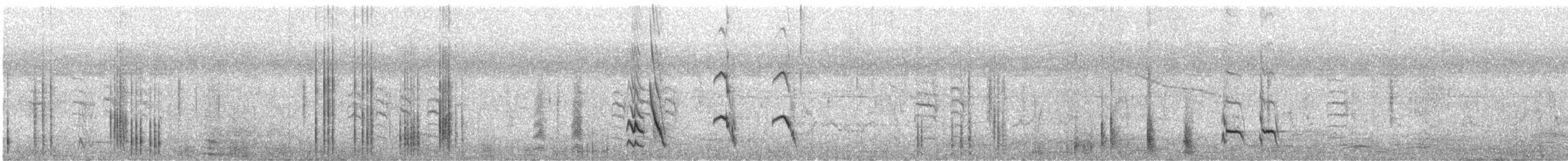 majna obecná - ML646501109