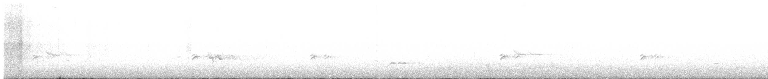 hýl křivčí - ML646501484