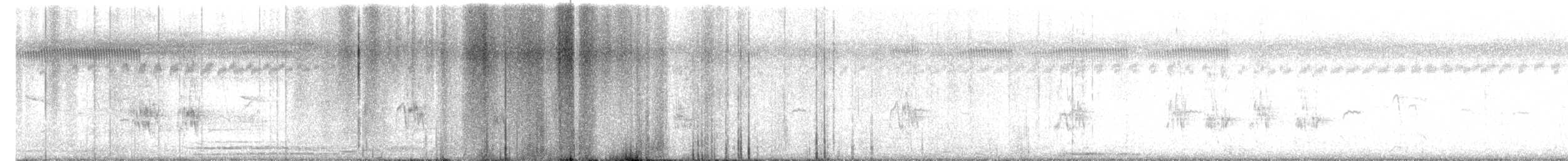 barbet bělolící - ML646501498