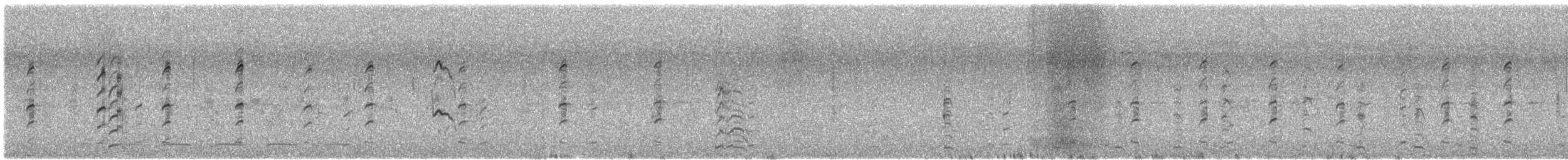 Black-winged Stilt - ML646502224