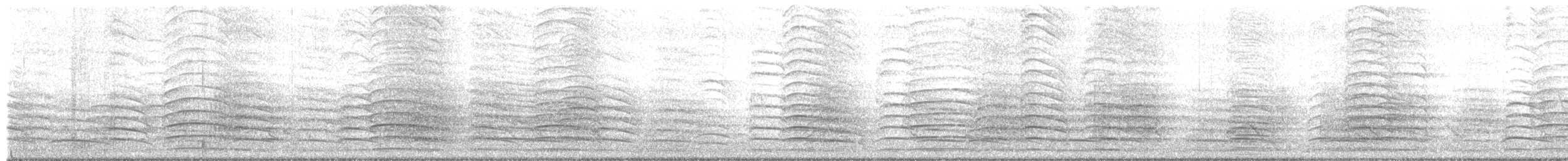 kakadu havraní - ML646502539