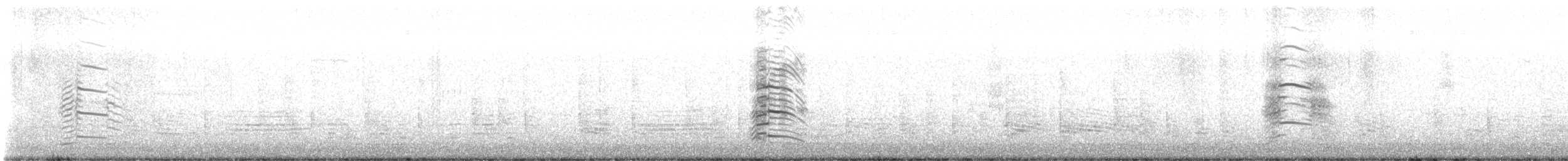 racek jezerní - ML646502598