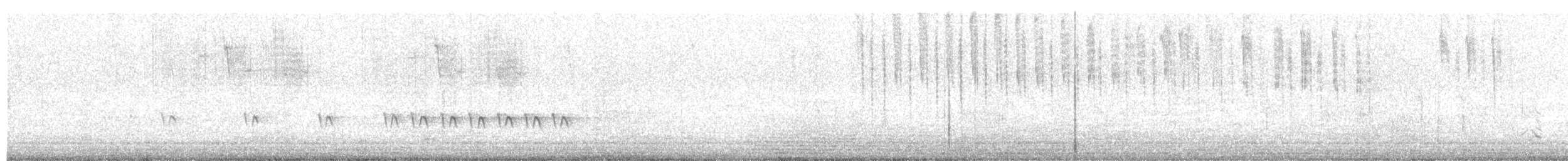 Wrentit - ML646502690