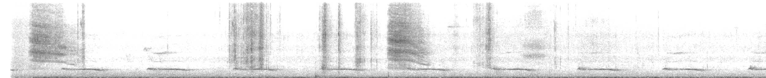 barbet velký - ML646502788