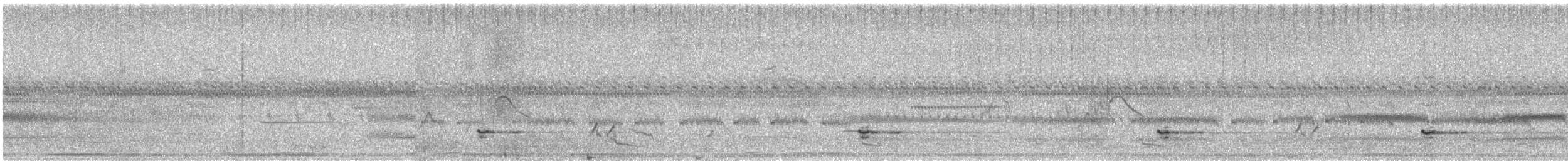 tinama malozobá - ML646502854