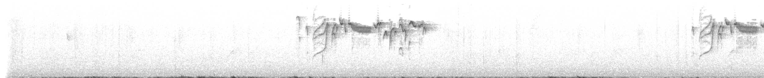 Mountain Wren - ML646503383