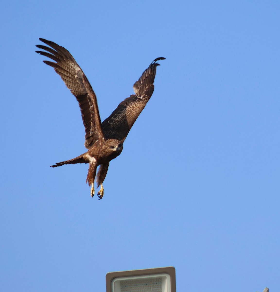 Milano Negro - ML646503390