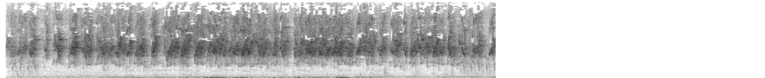 Cotorrita de Anteojos - ML646503426