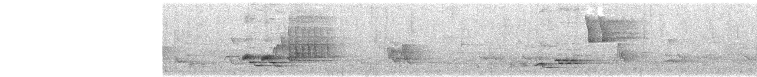 Zorzalito Maculado - ML646503465