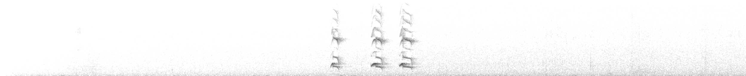 Tawny Antpitta - ML646503775