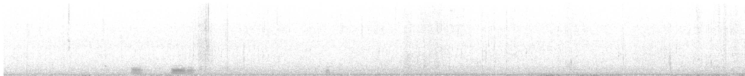 White Ibis - ML646503809