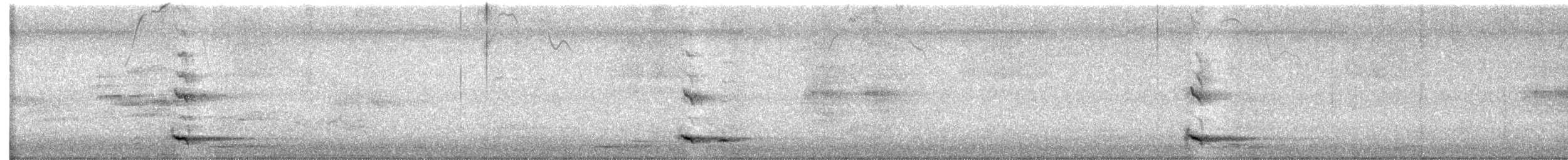 Helmeted Friarbird (Hornbill) - ML646503877