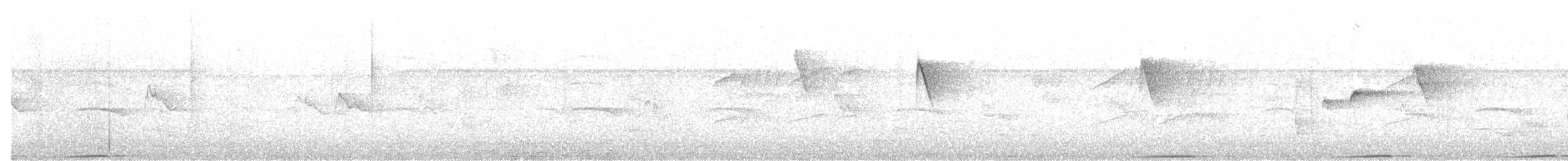 Tilopo Soberbio - ML646503884