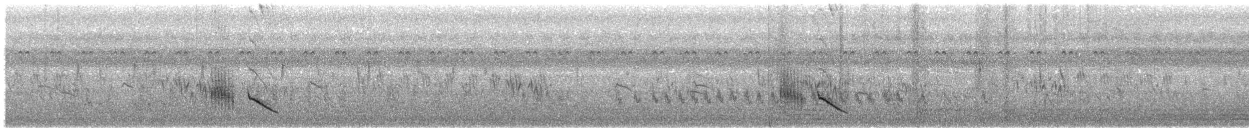 Timalí Capirotado - ML646503944