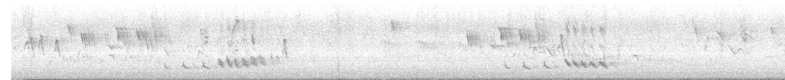 Tropical Mockingbird - ML646503994