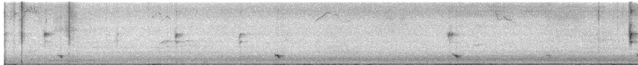 Welcome Swallow - ML646503996