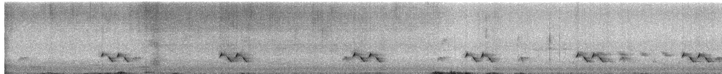 キボシホウセキドリ（ornatus） - ML646504032