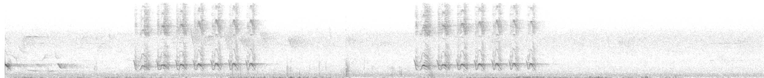 Alción Colilargo Silvia - ML646504375