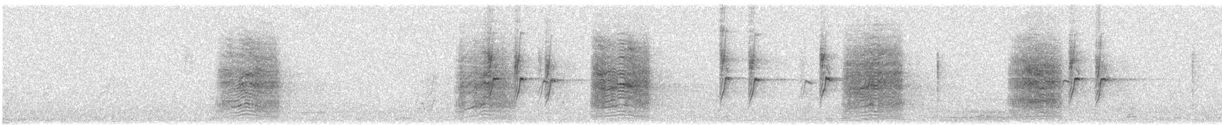 sojka obecná - ML646504506