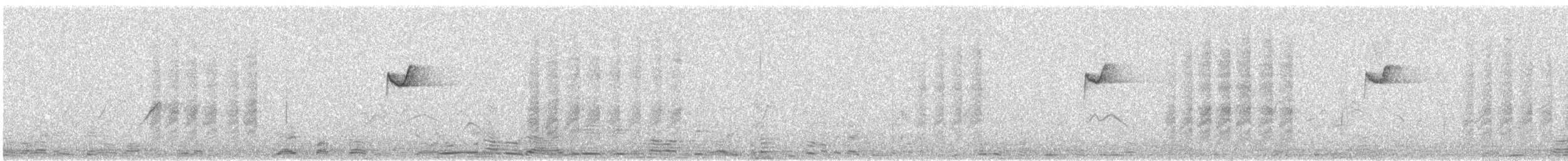 budníček pruhohlavý - ML646504522