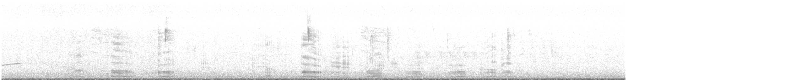 Humboldtscharbe - ML646504818