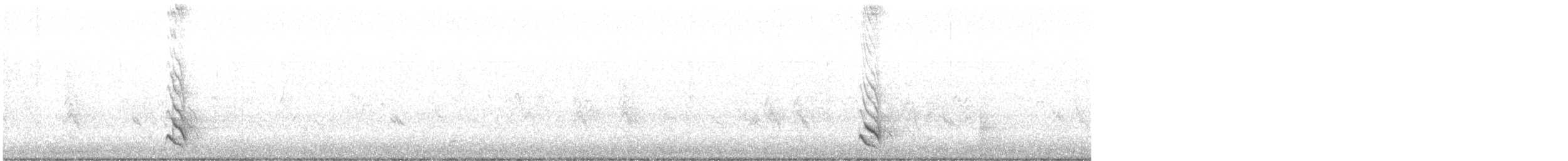 Long-billed Thrasher - ML646504917