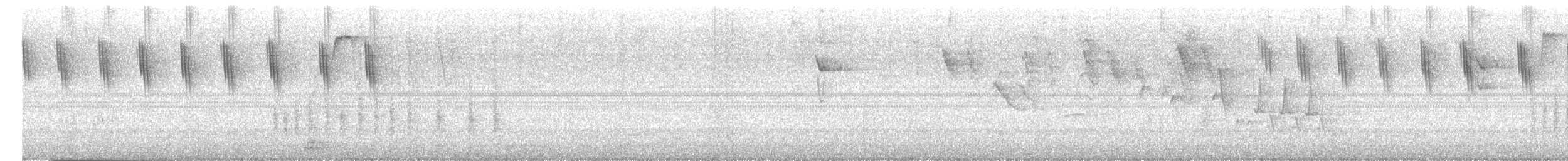 Glittering-throated Emerald - ML646505302