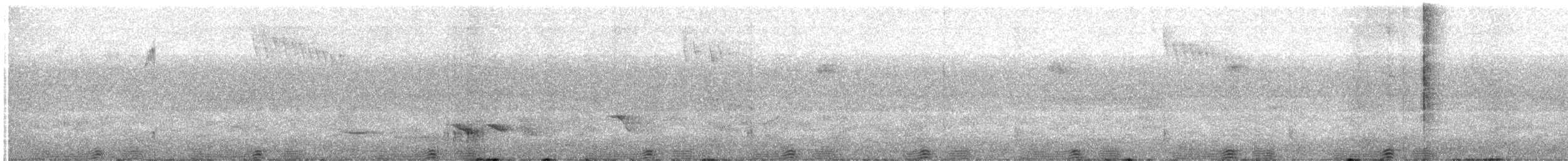 Barking Owl - ML646505454