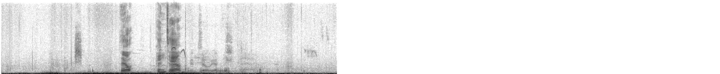 Pin-tailed Snipe - ML646505478