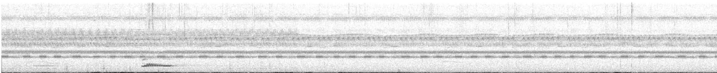 Arabian Scops-Owl - ML646505496