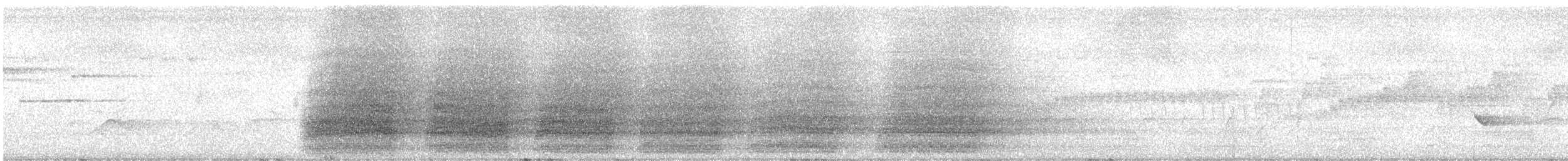 Sulphur-crested Cockatoo - ML646505742