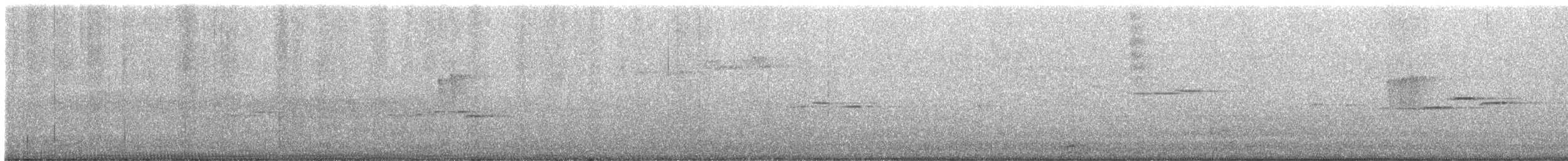 Війчик гірський - ML646505843