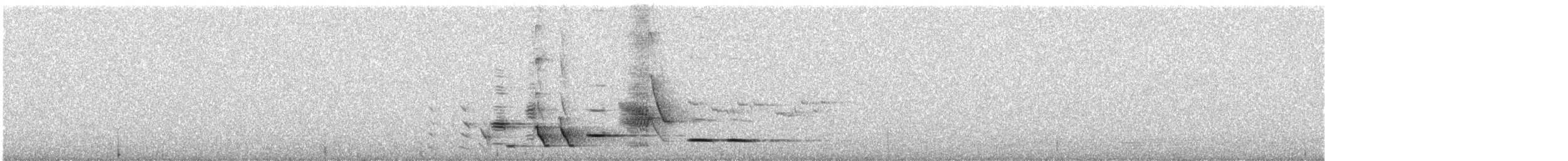 New Zealand Bellbird - ML646505849