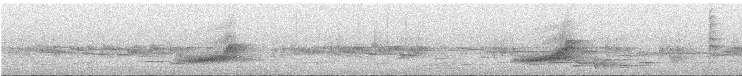 Long-tailed Koel - ML646506004