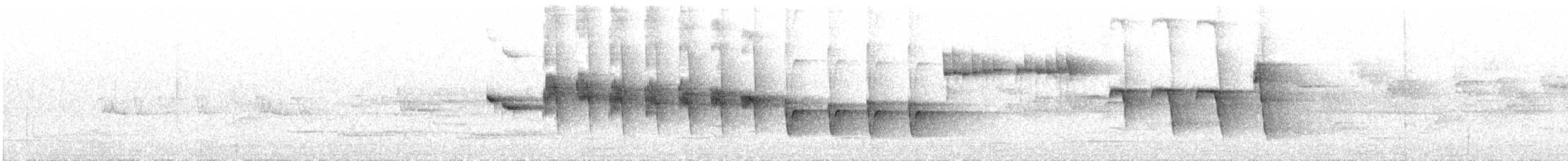 North Island Robin - ML646506037