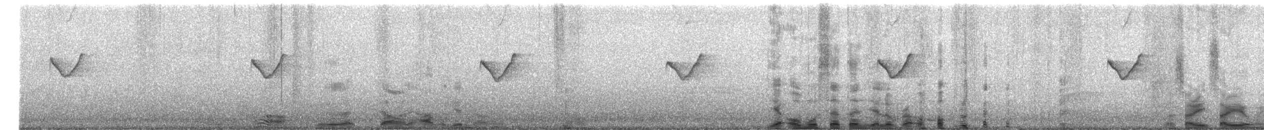 Yellow-browed Warbler - ML646506141