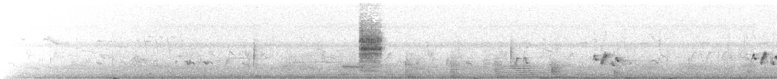 Clamorous Reed Warbler - ML646506186