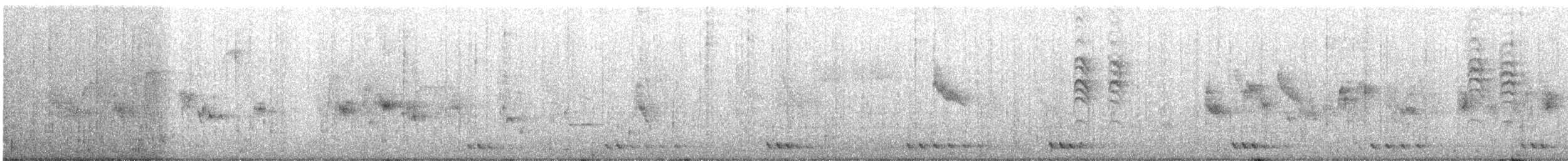 Yellow-bellied Tit - ML646506213