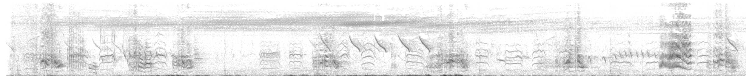 White-browed Sparrow-Weaver - ML646506367